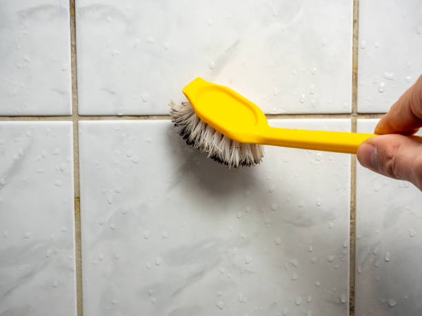 Best Mold Testing  in Oradell, NJ