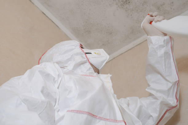 Best Certified Mold Removal  in Oradell, NJ